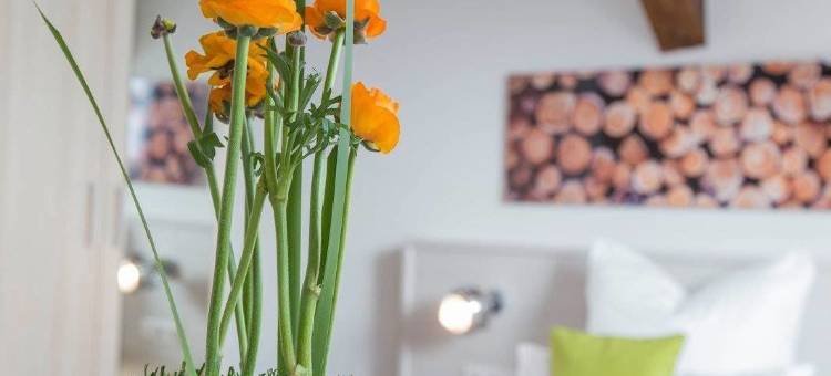 优选布尔商务酒店 - 寄宿式酒店(Best Business bühl - Boardinghouse)图片