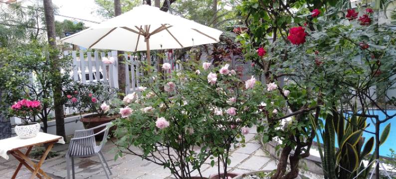 会安月亮别墅(The Moon Villa Hoi An)图片