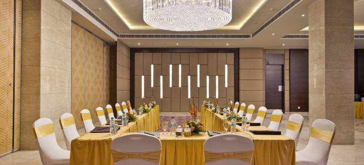 比尔甘杰迪耶罗广场酒店by Soaltee(Diyalo Plaza Birgunj by Soaltee)图片