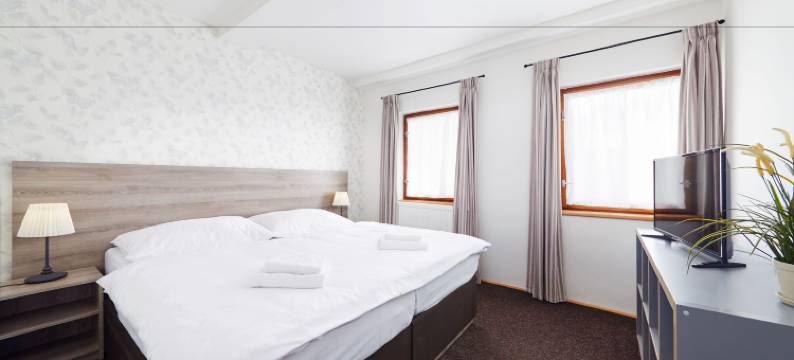 乌帕河畔斯沃博达滑雪酒店(Ski Hotel Svoboda Nad Úpou)图片