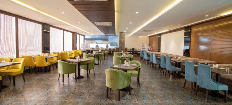 维瓦娜商务酒店(Vivana)图片