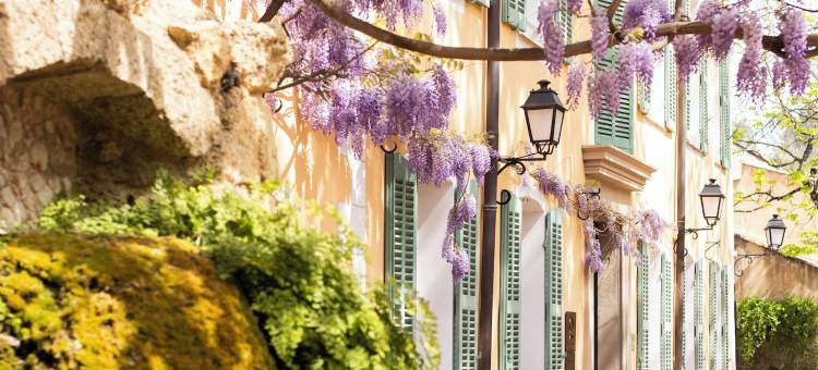 塞勒修道院旅馆(Hostellerie de l'Abbaye de La Celle - Teritoria)图片