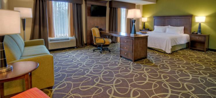 罗彻斯特/汉丽埃塔欢朋套房酒店(Hampton Inn & Suites Rochester/Henrietta)图片