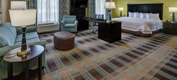 克拉克斯维尔欢朋酒店(Hampton Inn & Suites Clarksville)图片