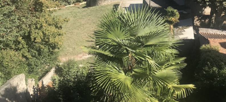 信鸽阿伯拉尔酒店(Librairie Abelard)图片