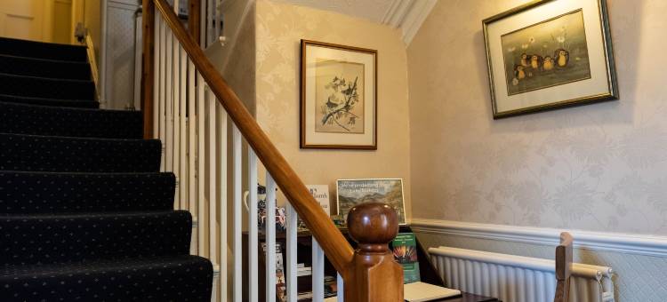 桑尼塞得旅馆(Sunnyside Guest House)图片