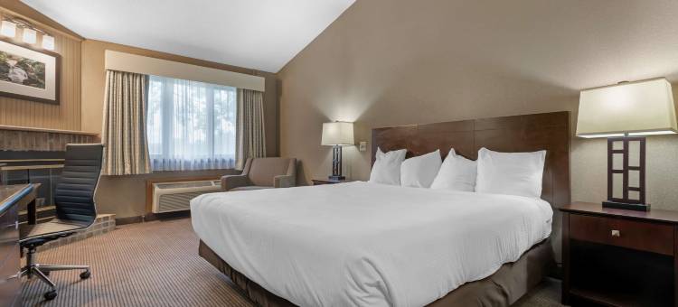 伊萨卡大学贝斯特韦斯特酒店(Best Western University Inn)图片