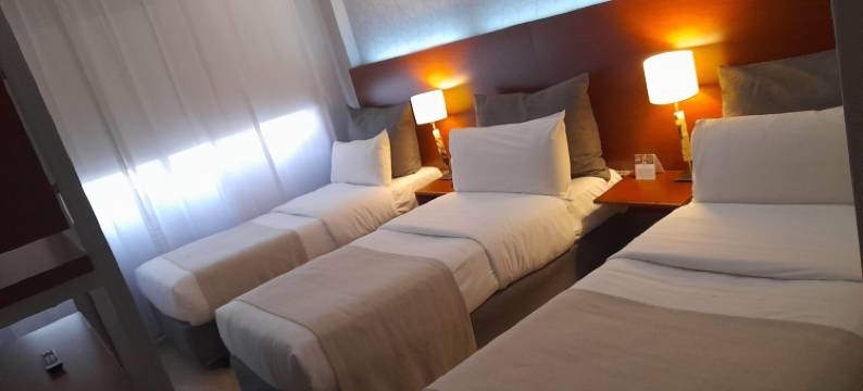 罗切斯特概念酒店(Rochester Hotel Concept)图片