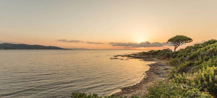 皮埃尔法国梧桐假日酒店(Résidence Pierre & Vacances les Platanes)图片