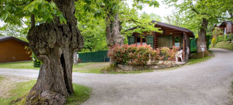 卡斯塔尼公园露营酒店(Glamping Villaggio Parco Dei Castagni 4 Stelle)图片