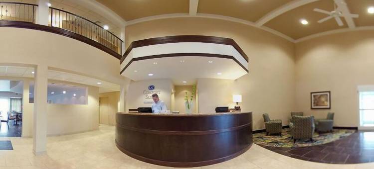 温泉城舒适套房酒店(Comfort Suites Near Hot Springs Park)图片