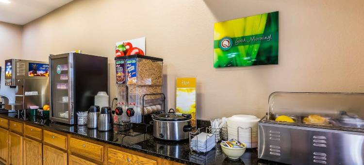 切斯特菲尔德村凯艺套房酒店(Quality Inn & Suites Chesterfield Village)图片