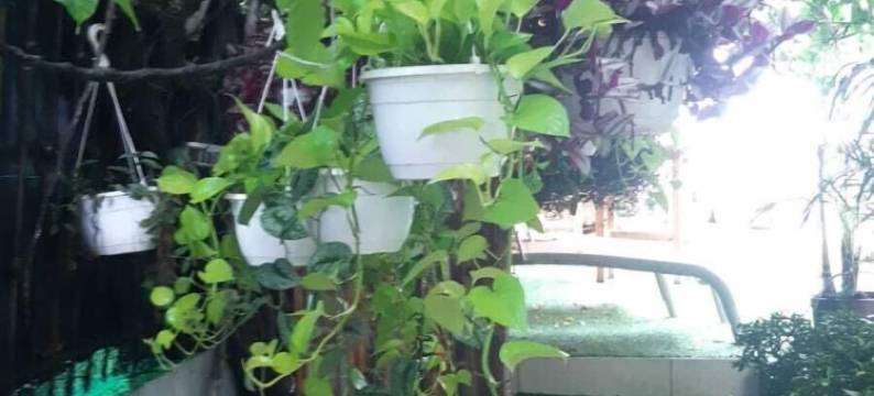 Villas Verdes的Bellavista套房(BellaVista Suites by Villas Verdes - Samara Beach)图片