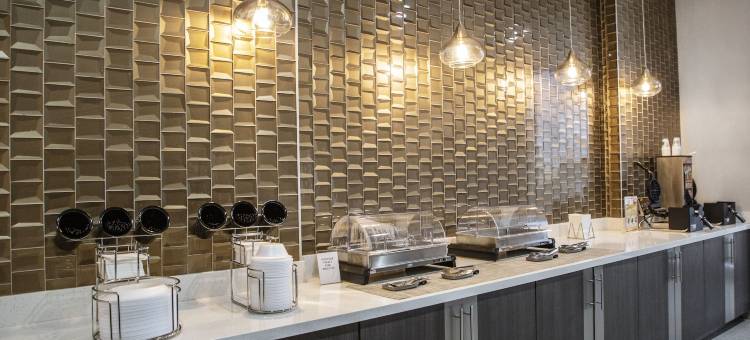 达拉斯沃斯堡机场西-格拉德-帕克斯拉昆塔温德姆套房酒店(La Quinta Inn & Suites by Wyndham DFW West-Glade-Parks)图片