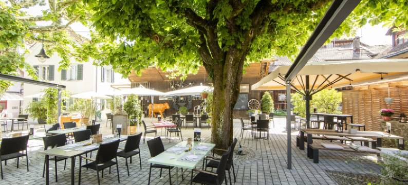 奥森伦茨堡酒店(Ochsen Lenzburg)图片