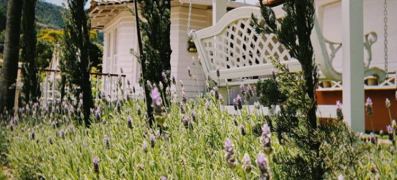 拉贝尔普罗旺斯酒店(La Belle Provence)图片