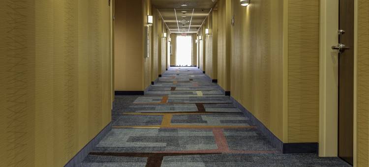 达拉斯普莱诺／科勒尼万枫酒店(Fairfield Inn & Suites by Marriott Dallas Plano/The Colony)图片