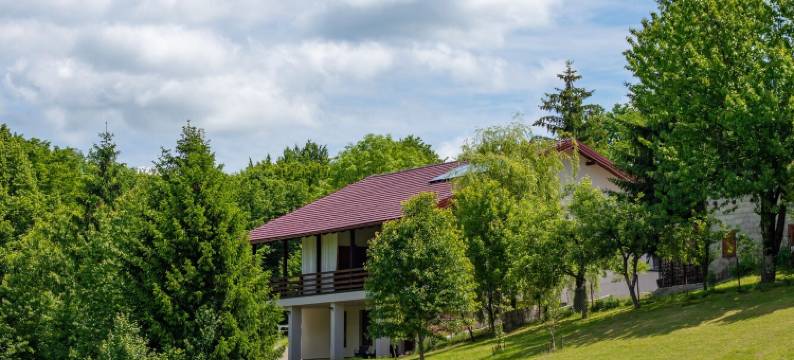 民宿绿色宁静普利特维采湖(B&B Green Serenity Plitvice Lakes)图片