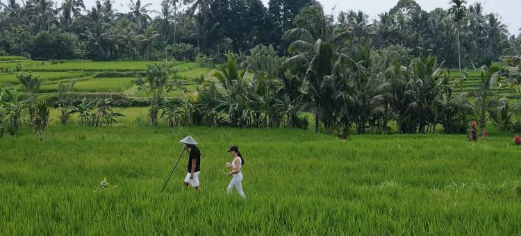 GenuineHost的神圣贝吉(Sacred Beji by GenuineHost)图片