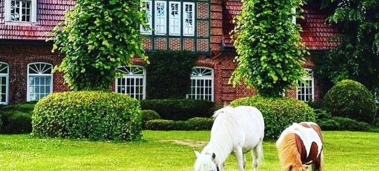 霍夫 Kirchhorst酒店(Hotel Hof Kirchhorst)图片