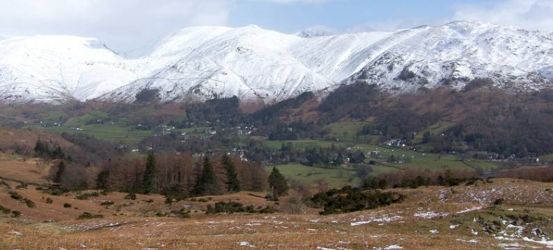 枫叶 - 伍德兰小屋酒店(Maple - Woodland Cottages)图片