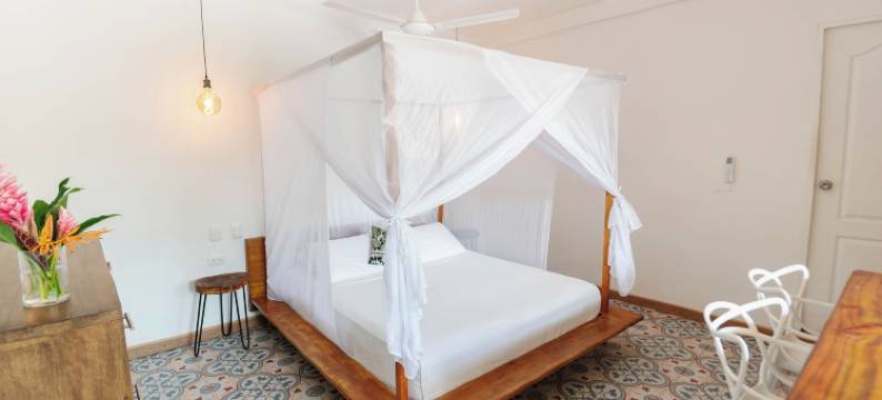 皇家孔雀之家精品酒店(Casa del Pavo Real Boutique Hotel)图片