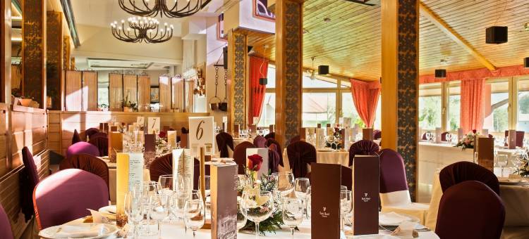 普奇塞达公园酒店(Puigcerda Park Hotel)图片