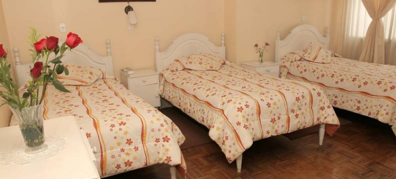 美洲酒店(Hotel Interamericano)图片