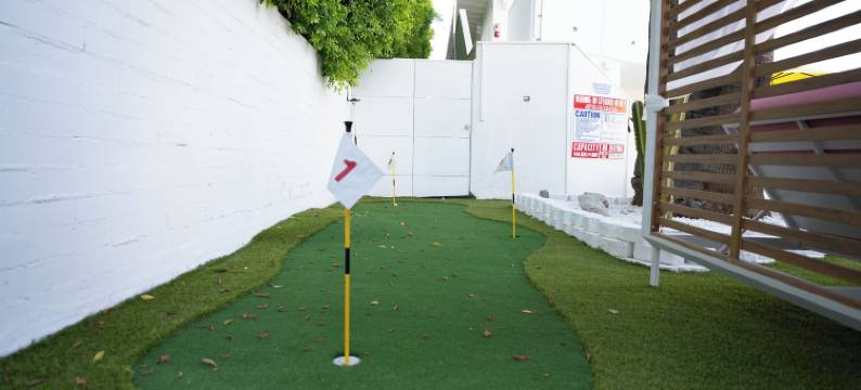 仙人掌酒店(The Cactai)图片