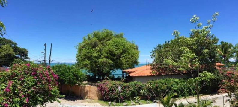 阿克雷拉旅馆(Acuarela Hostal)图片