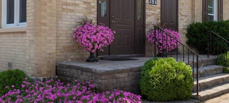 肯特旅馆(Kent Inn)图片