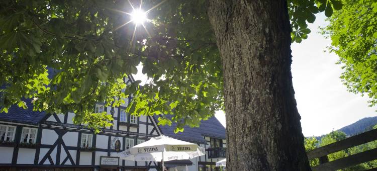 弗乐恩霍夫伯格尔酒店(Forellenhof Poggel)图片