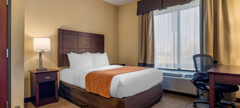 机场南舒适套房酒店(Comfort Suites Airport South)图片