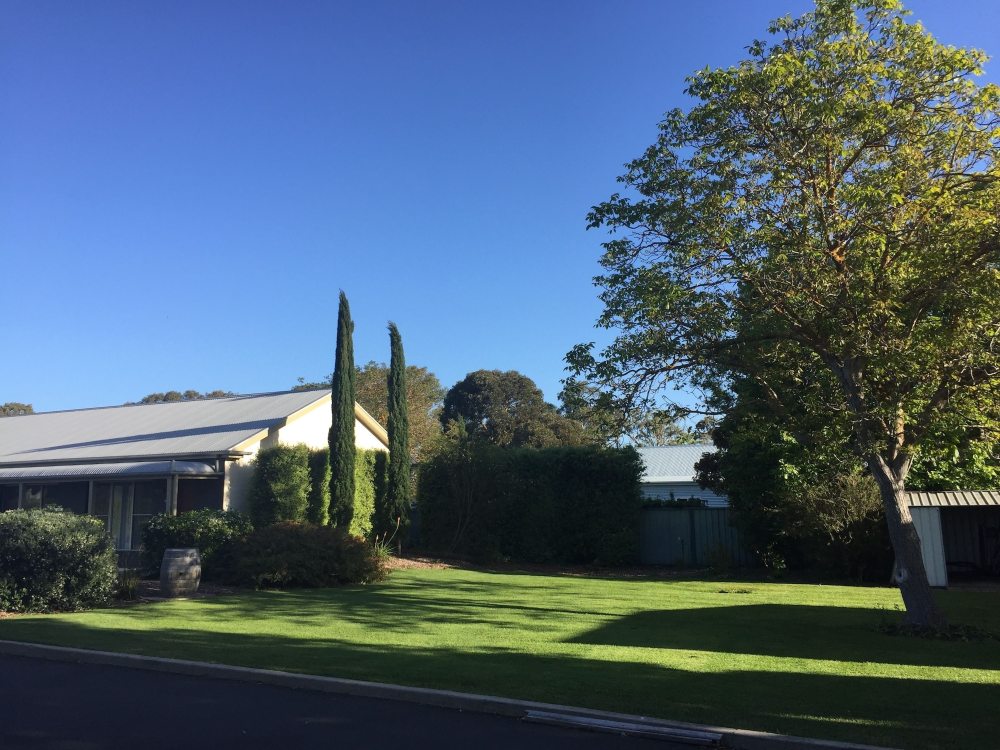 Alexander Cameron SuitesOver view