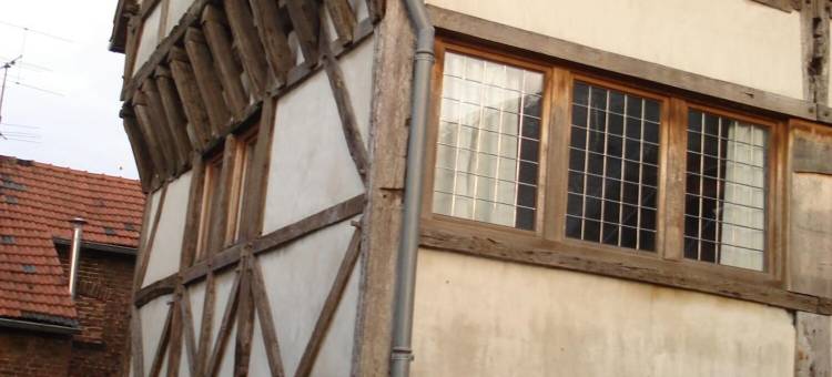 比克安诺1410号公寓式酒店(Aparthotel de Beek Anno 1410)图片