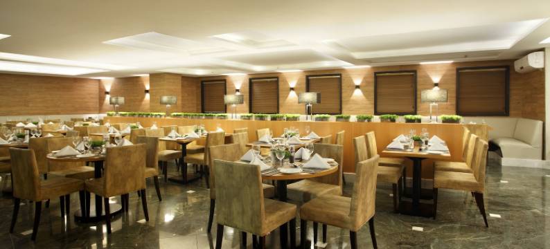 马卡埃皇家城市酒店(Royal Urban Macaé Hotel)图片