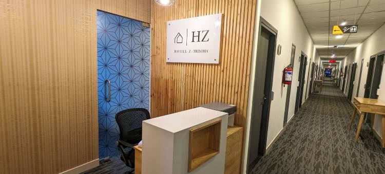 Z特里洛哈酒店(Hotel Z Triloha)图片