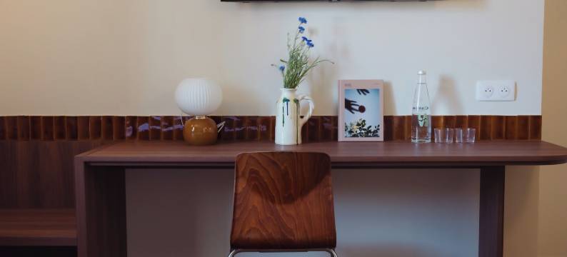 茶花国际(Camelia International)图片