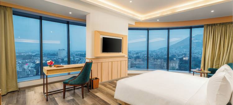 萨罗瓦尔波蒂科 阿杰梅尔(Sarovar Portico Ajmer)图片