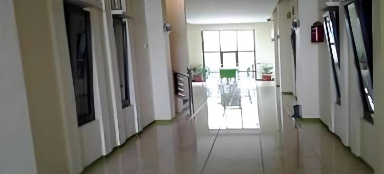 绿色饭店(Green Hotel)图片