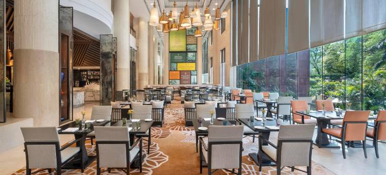 新德里喜来登酒店(Sheraton New Delhi Hotel)图片