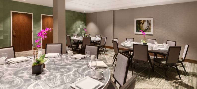 希尔顿安泊酒店-泰森斯角(Embassy Suites by Hilton Tysons Corner)图片