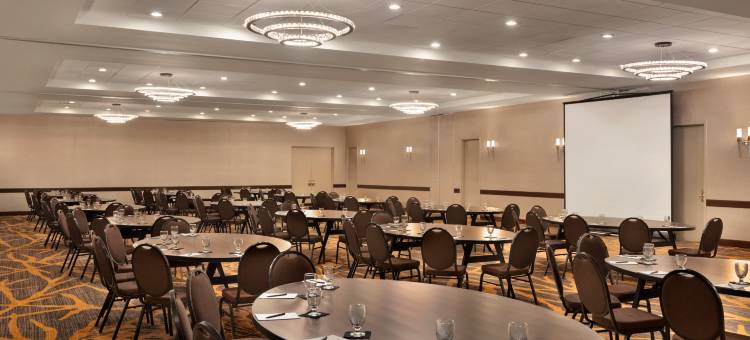 布鲁克菲尔德密尔沃基希尔顿安泊酒店(Embassy Suites by Hilton Milwaukee Brookfield)图片