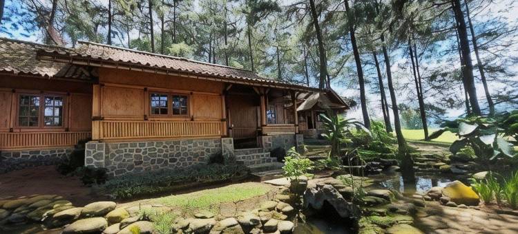 查蒂纳戈尔国家高尔夫度假村(Jatinangor National Golf & Resort)图片