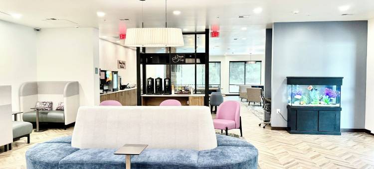 舒眠酒店及套房(Sleep Inn & Suites)图片