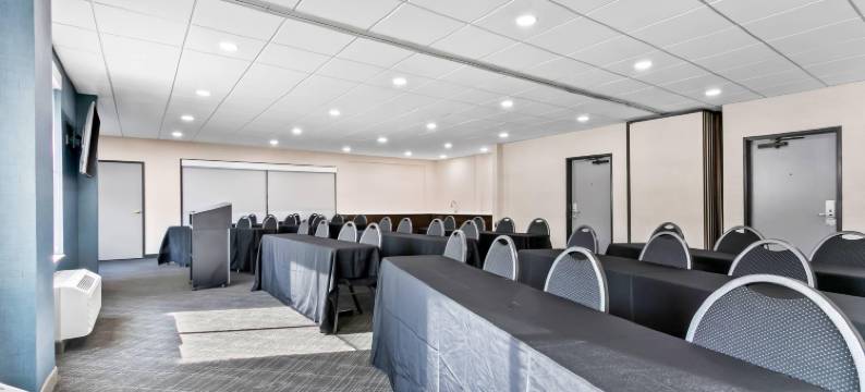 舒适套房酒店大布兰克/弗林特(Comfort Inn & Suites Grand Blanc-Flint)图片