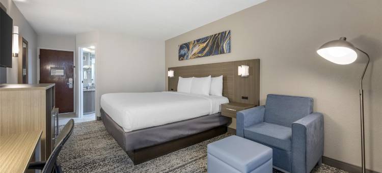 SureStay Plus Hotel by Best Western Chicago Lombard图片