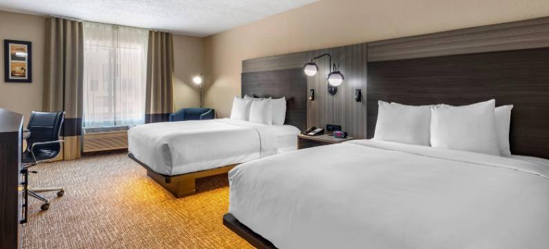 北达拉斯艾迪逊舒适套房酒店(Comfort Inn & Suites North Dallas-Addison)图片