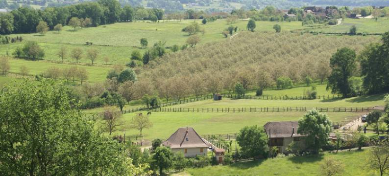 Nature Escape in Loubressac图片