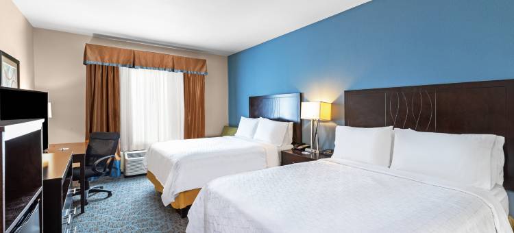 弗洛里斯维尔智选假日套房酒店(Holiday Inn Express & Suites Floresville)图片